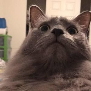 Meet your Posher, Cathy